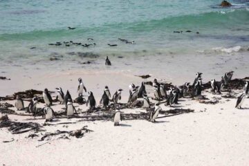 cape-town-spiaggia