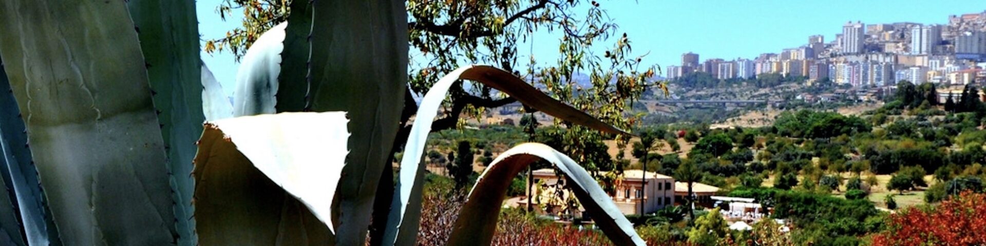 l’immagine rappresenta un paesaggio della Sicilia, nella sua zona meno turistica